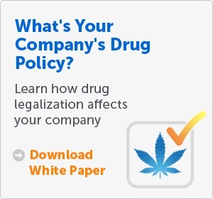 Download information about the importance of creating a marijuana drug policy